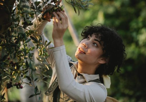 From Culinary Excellence to Advanced Skincare: The Dual Power of Premium Olive Oils